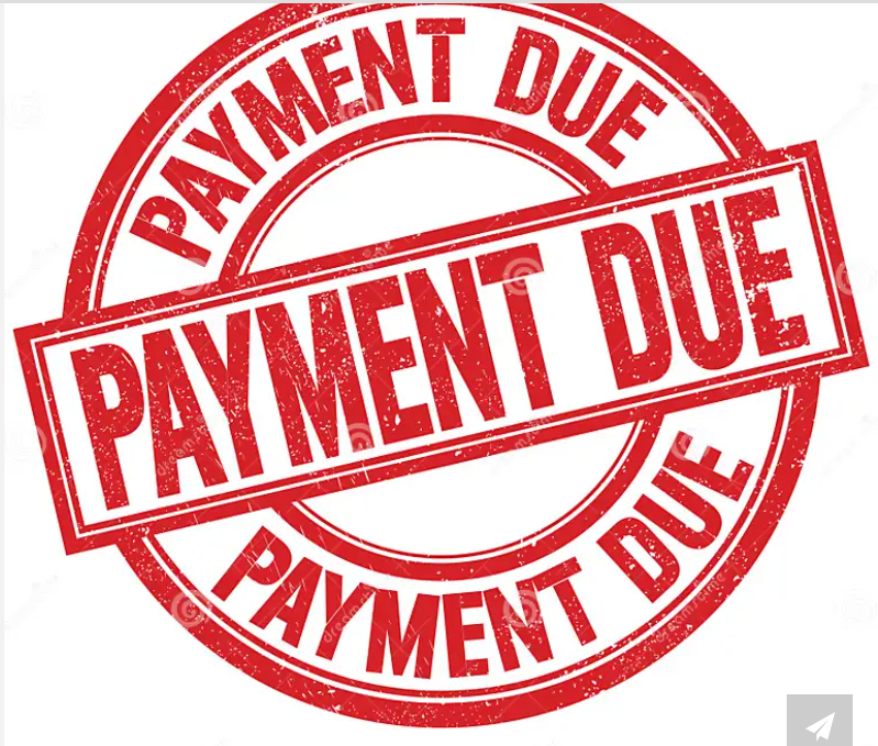 Shane Wallace Payment